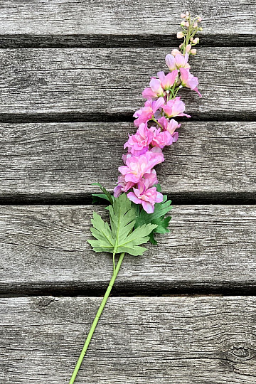 Delphinium różowy 79 cm