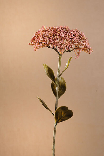Jagody japońskie żółte 63 cm