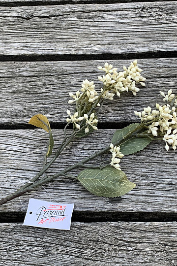 SUCHA VIBURNUM TINUS 58 cm biała