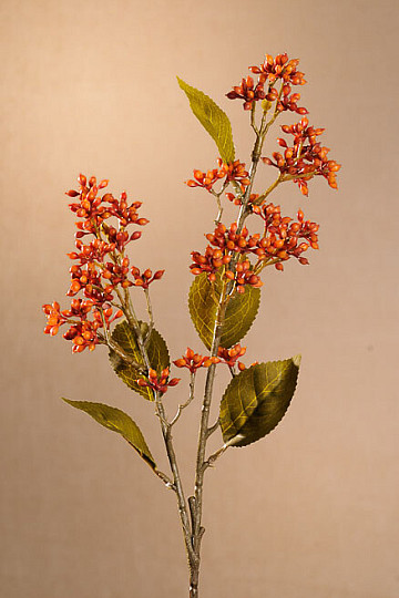 SUCHA VIBURNUM TINUS 58 cm pomarańczowa
