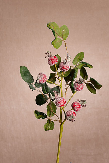 POKRYTE ŚNIEGIEM STRZAŁY