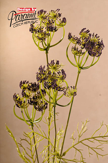 Fioletowy koperek 80 cm