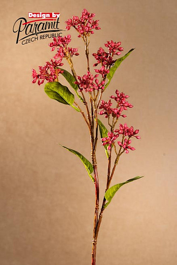 Jagody japońskiego burgunda 63 cm