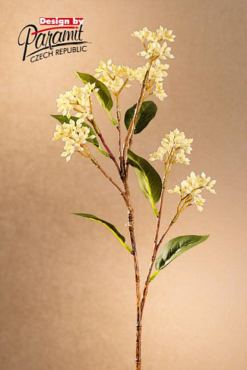 Jagody japońskie białe 63 cm