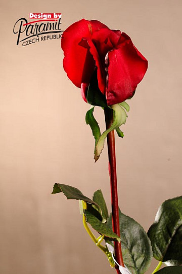 Pąk róży czerwony 70 cm