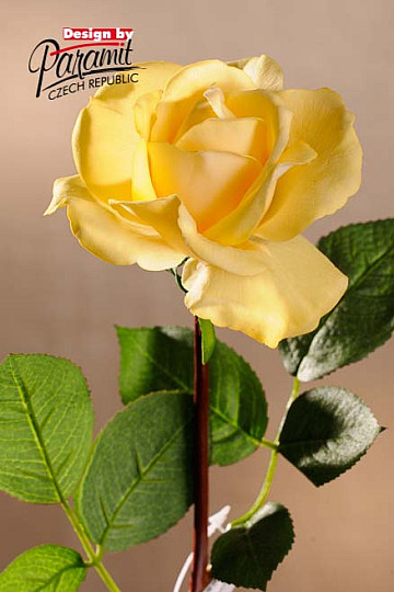 Żółta róża 67 cm