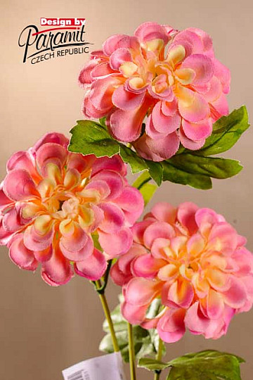 Dalia różowo-żółta 56 cm