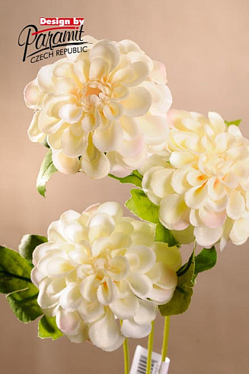 Dalia kremowa 56 cm