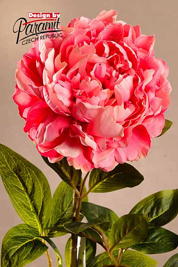 Różowa piwonia 72 cm