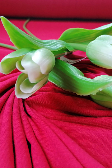 Dzianina bawełniana TEINTURE czerwona