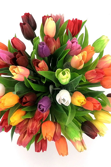 Tulipany mieszają kolory