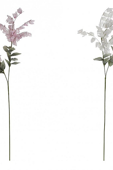 Glicynia 126 cm