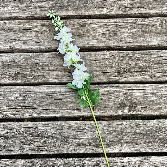 Delphinium biały 79 cm