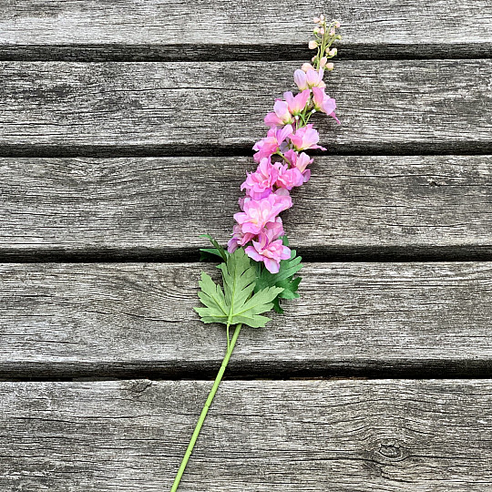 Delphinium różowy 79 cm