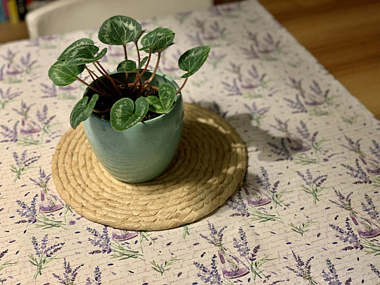 Ubrus LEVANDULE ZAPACH 120x120