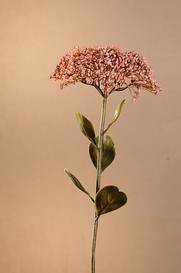 Jagody japońskie żółte 63 cm