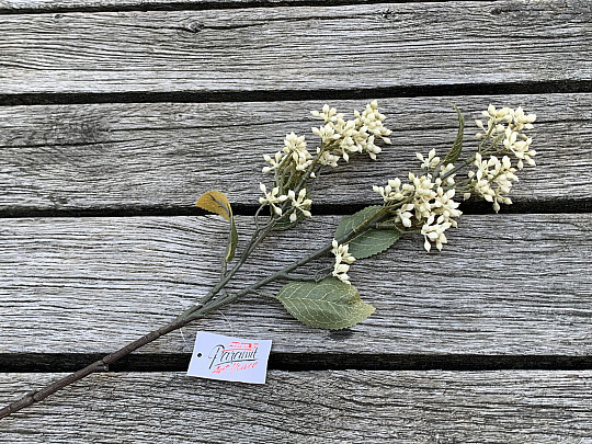 SUCHA VIBURNUM TINUS 58 cm biała