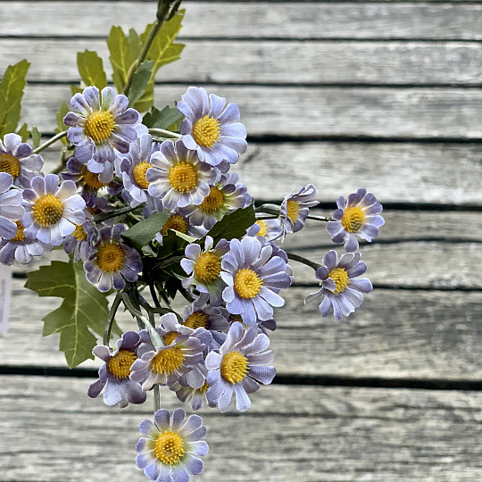 MINI DAISY NIEBIESKA