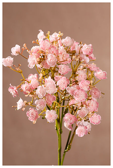 GIPS W SPRAYU RÓŻOWY