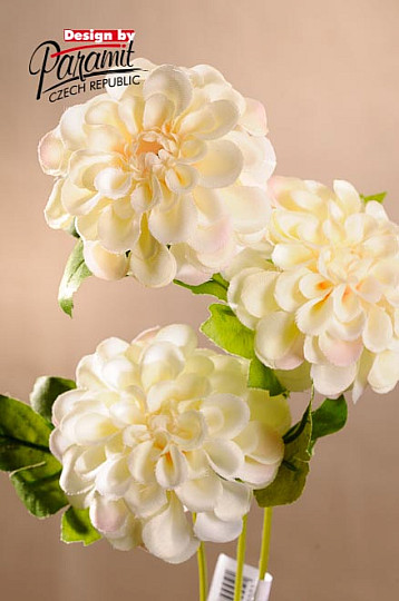 Dalia kremowa 56 cm