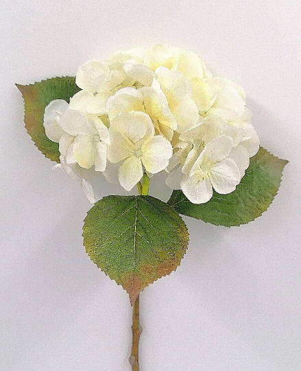 Hortensja biała 48 cm