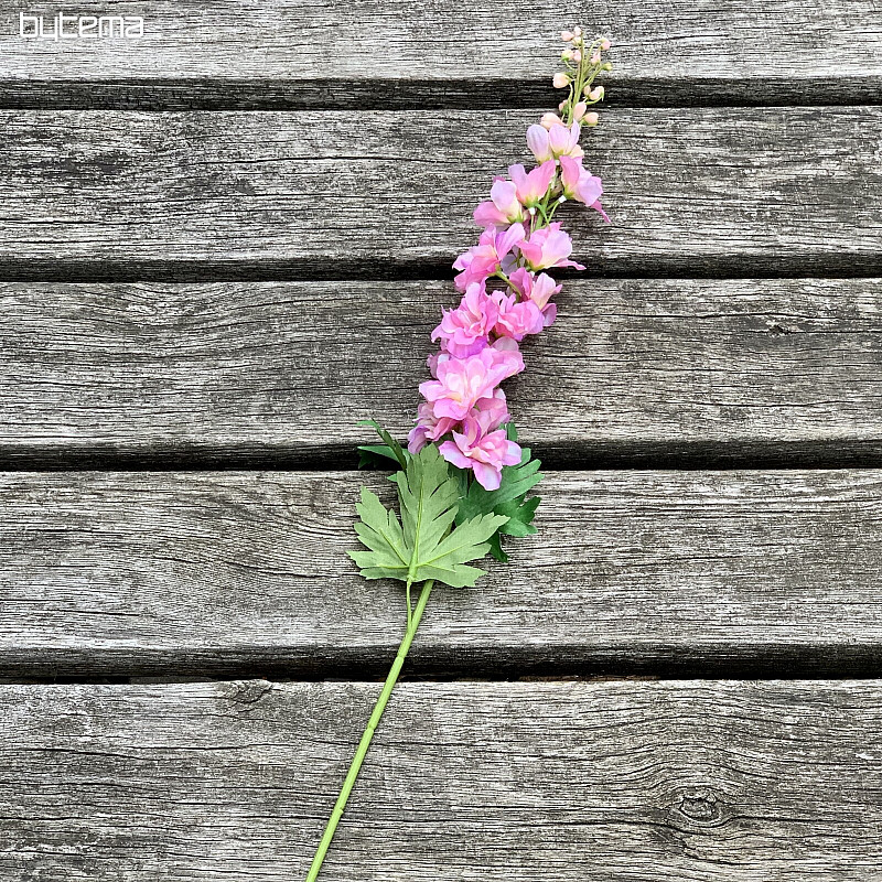 Delphinium różowy 79 cm