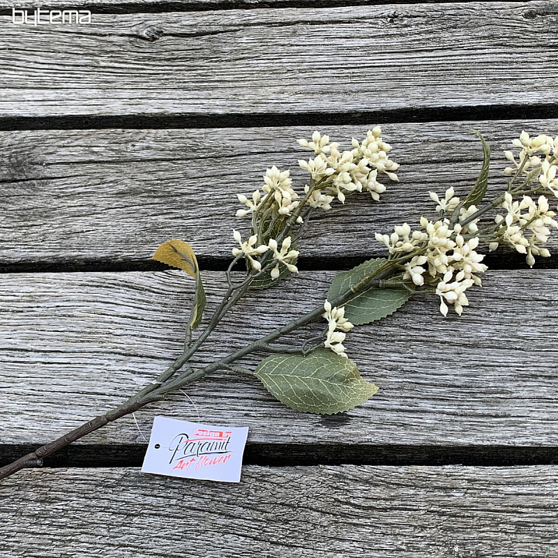 SUCHA VIBURNUM TINUS 58 cm biała