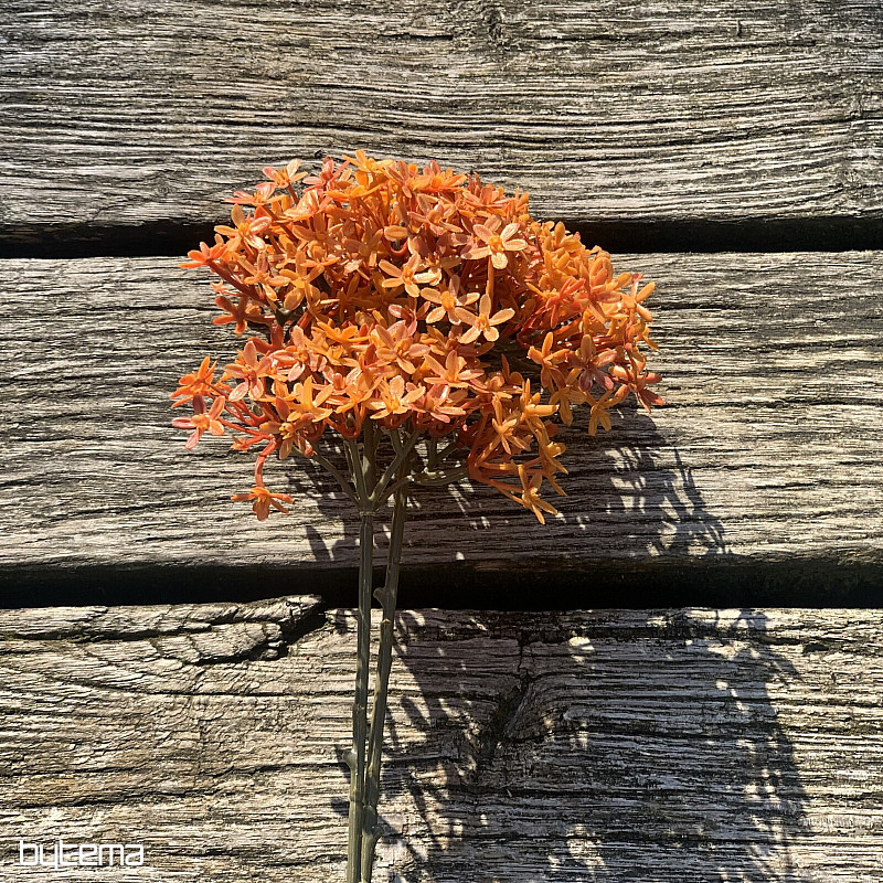 SUSZONY KWIAT KORONOWY POMARAŃCZOWY