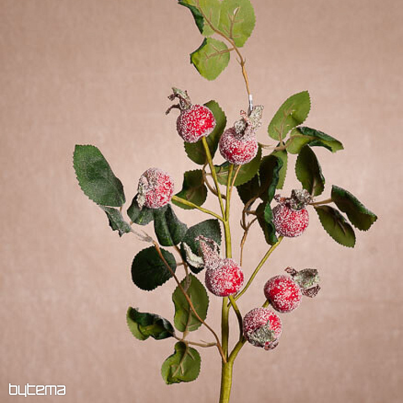 POKRYTE ŚNIEGIEM STRZAŁY