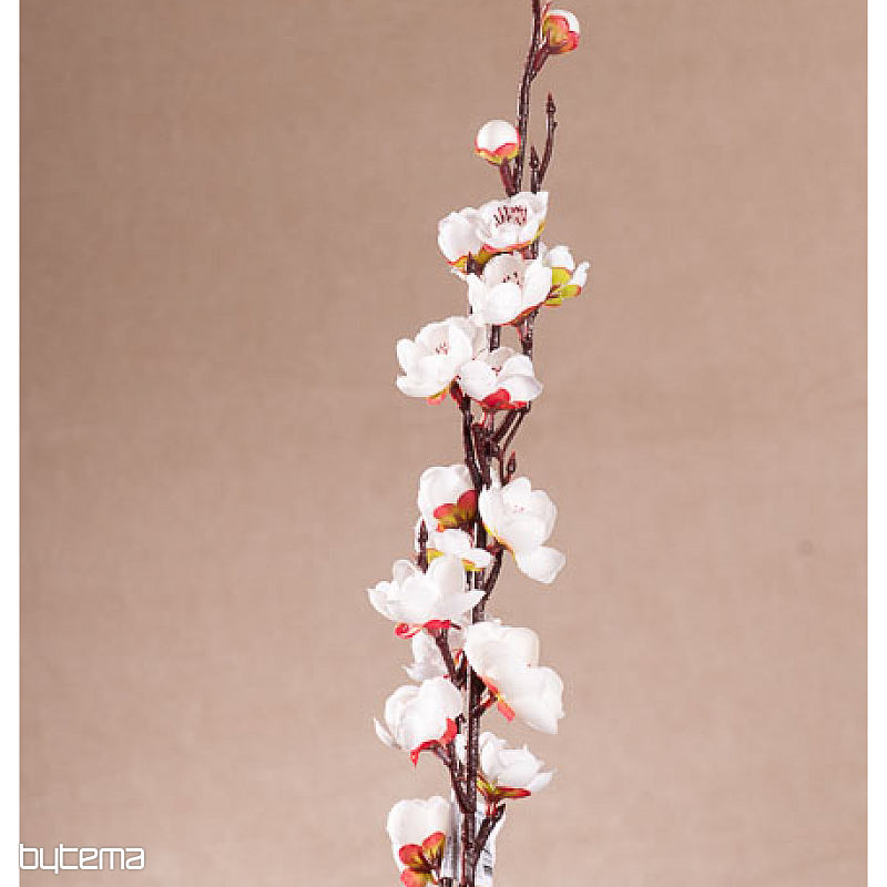 WIOSNA BIAŁA WIŚNIA