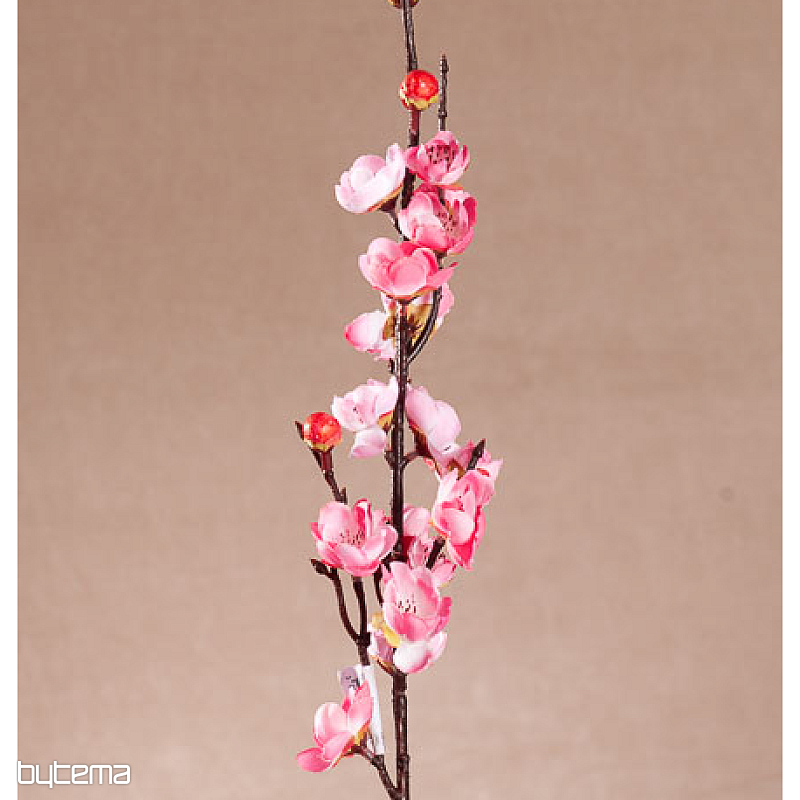 WIŚNIA WIOSENNA RÓŻOWA