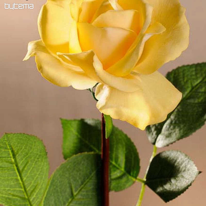 Żółta róża 67 cm