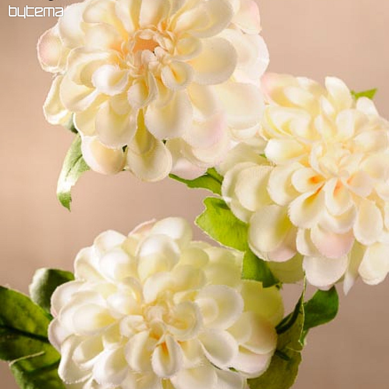 Dalia kremowa 56 cm