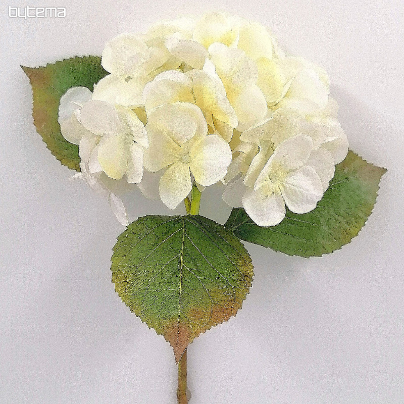 Hortensja biała 48 cm