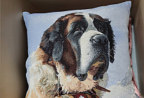 Dla miłośników zwierząt - miękkość, która Cię oswoi