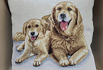 Dla miłośników zwierząt - miękkość, która Cię oswoi