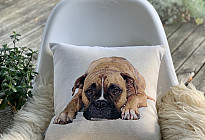 Dla miłośników zwierząt - miękkość, która Cię oswoi