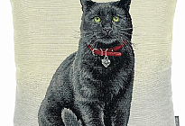 Dla miłośników zwierząt - miękkość, która Cię oswoi