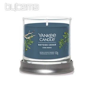 świeczka YANKEE CANDLE zapach BAYSIDE CEDAR TUMBER SMALL