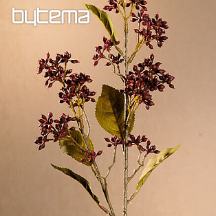 SUCHA VIBURNUM TINUS 58 cm bordowa