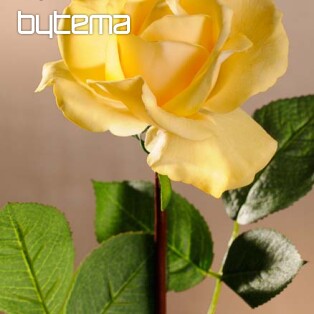 Żółta róża 67 cm