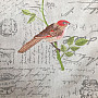 Obrus i szalik BIRDS