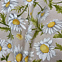 Obrus i szalik Daisies