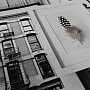 Tkanina dekoracyjna Motyle 3D b / w