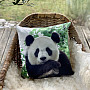 Powłoka dekoracyjna PANDA