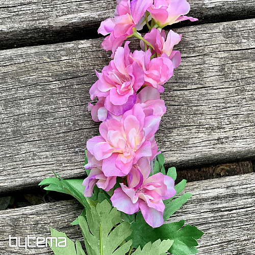 Delphinium różowy 79 cm