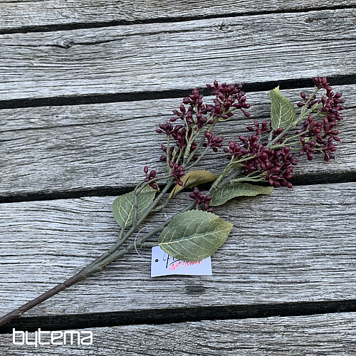 SUCHA VIBURNUM TINUS 58 cm bordowa
