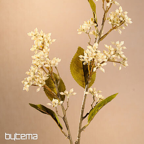 SUCHA VIBURNUM TINUS 58 cm biała
