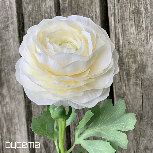 Kremowy krem maślany