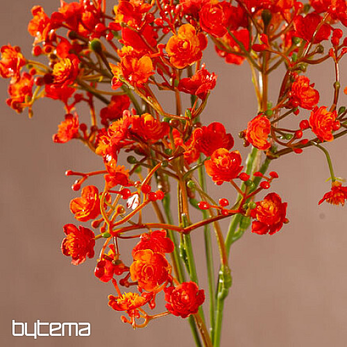 GIPS W SPRAYU POMARAŃCZOWY